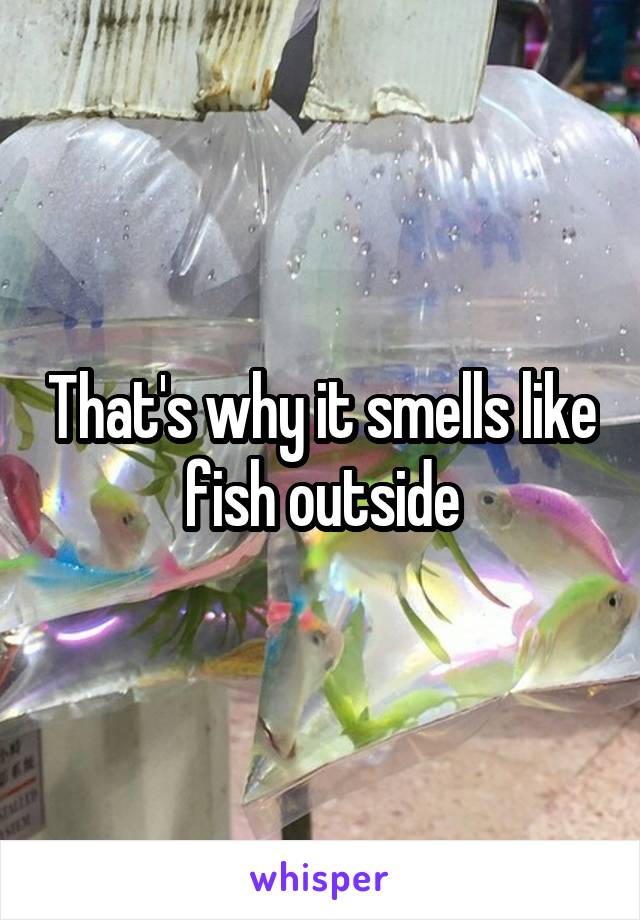 That's why it smells like fish outside
