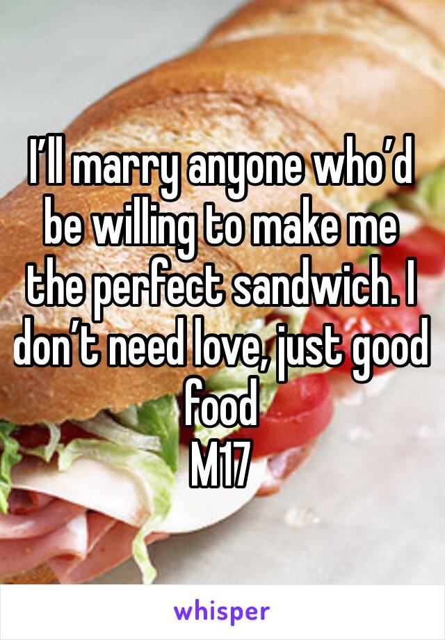 I’ll marry anyone who’d be willing to make me the perfect sandwich. I don’t need love, just good food 
M17