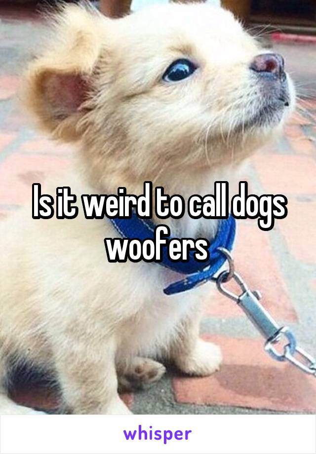 Is it weird to call dogs woofers 