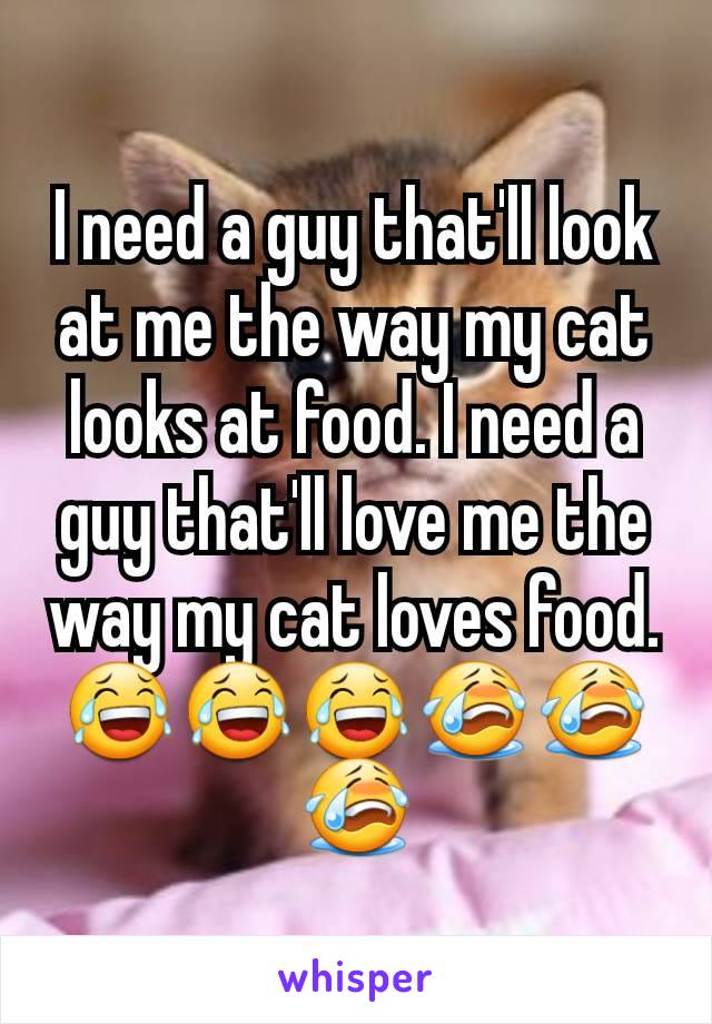 I need a guy that'll look at me the way my cat looks at food. I need a guy that'll love me the way my cat loves food. 😂😂😂😭😭😭