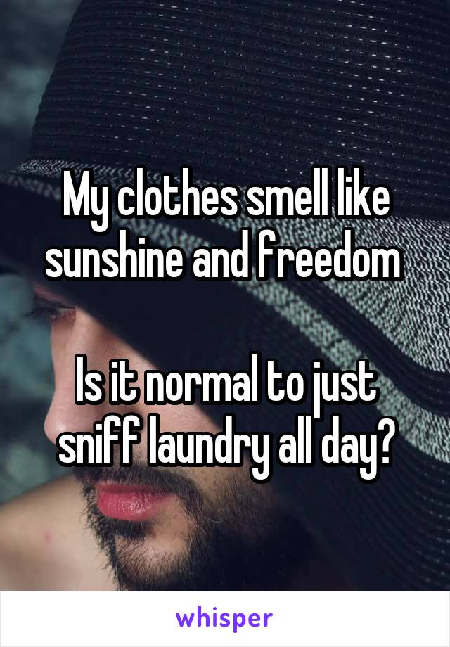 My clothes smell like sunshine and freedom 

Is it normal to just
sniff laundry all day?