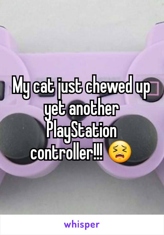 My cat just chewed up yet another PlayStation controller!!! 😣