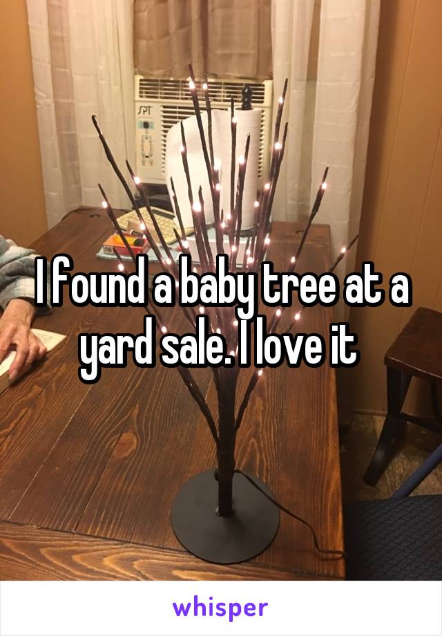 I found a baby tree at a yard sale. I love it 