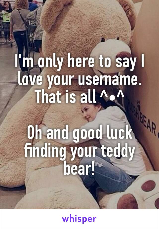 I'm only here to say I love your username. That is all ^•^

Oh and good luck finding your teddy bear!
