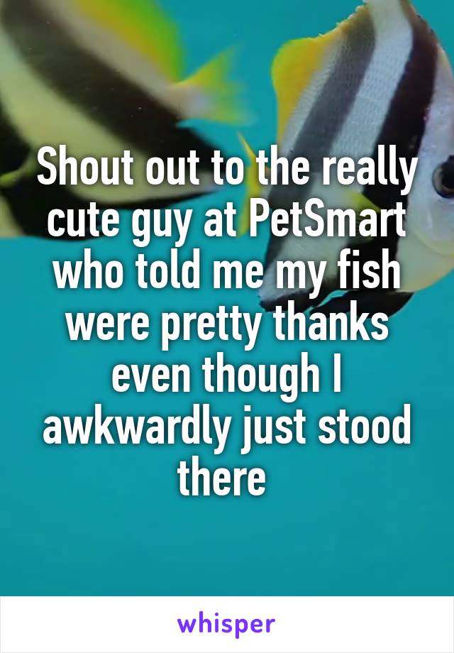 Shout out to the really cute guy at PetSmart who told me my fish were pretty thanks even though I awkwardly just stood there 