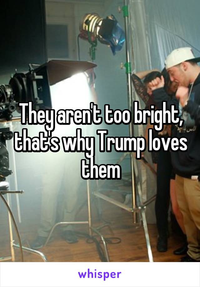 They aren't too bright, that's why Trump loves them