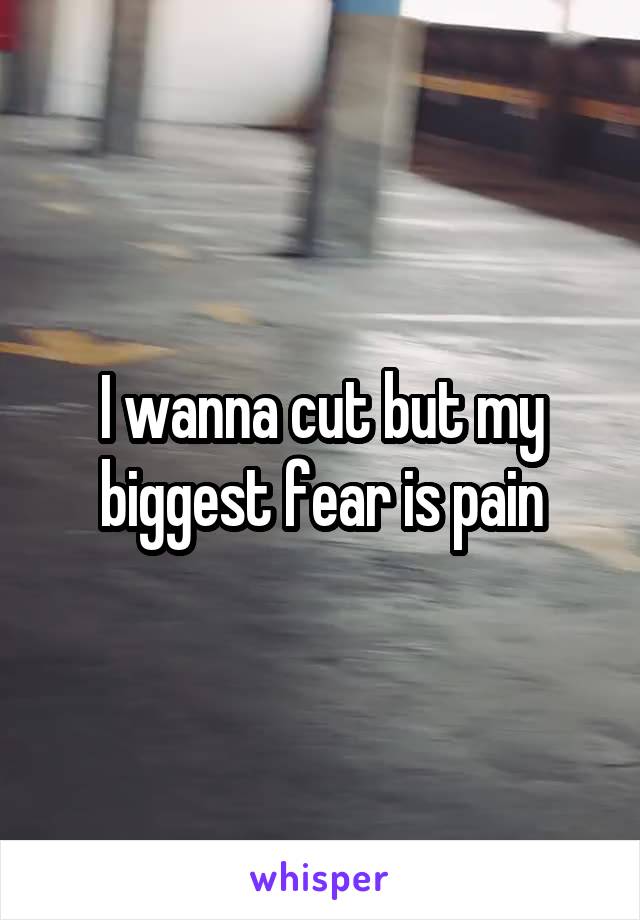 I wanna cut but my biggest fear is pain