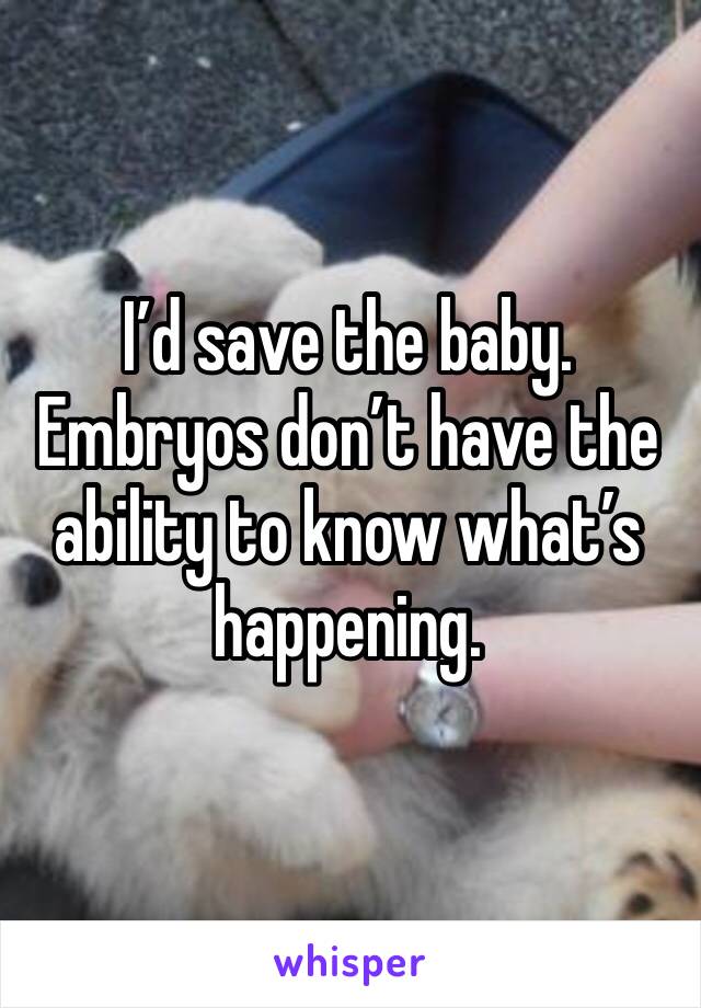 I’d save the baby. Embryos don’t have the ability to know what’s happening. 
