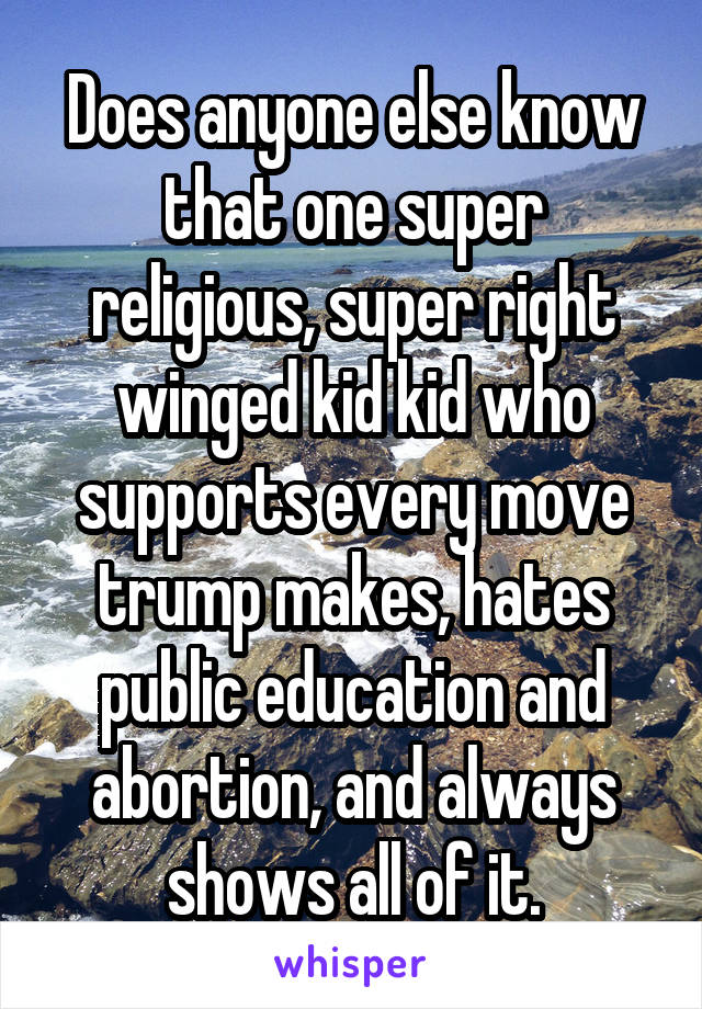 Does anyone else know that one super religious, super right winged kid kid who supports every move trump makes, hates public education and abortion, and always shows all of it.