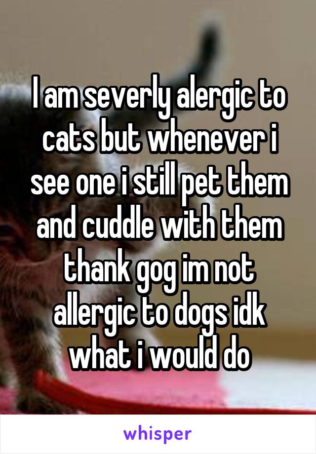 I am severly alergic to cats but whenever i see one i still pet them and cuddle with them thank gog im not allergic to dogs idk what i would do