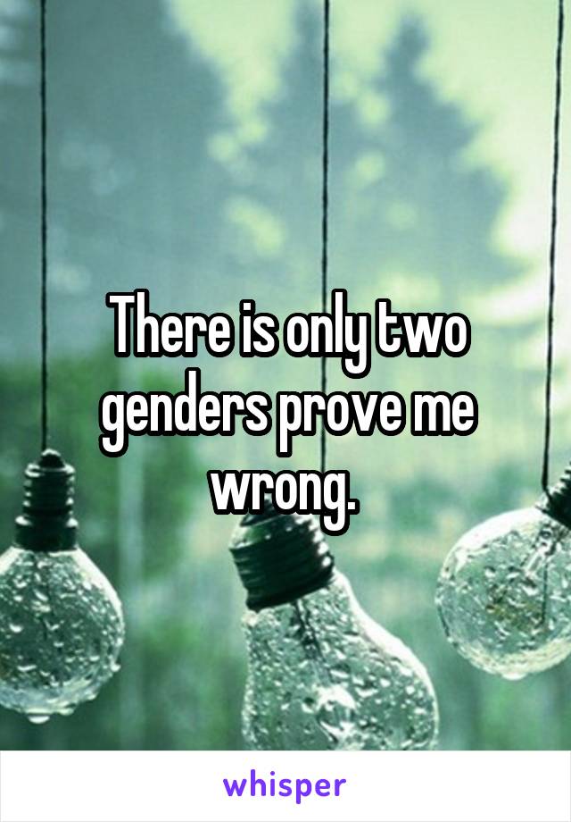 There is only two genders prove me wrong. 