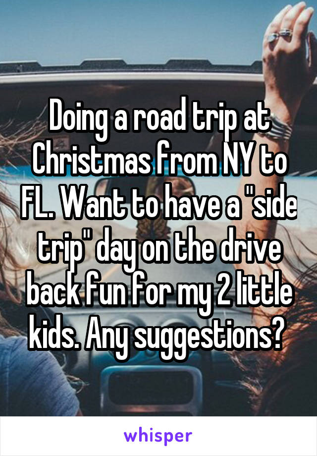 Doing a road trip at Christmas from NY to FL. Want to have a "side trip" day on the drive back fun for my 2 little kids. Any suggestions? 