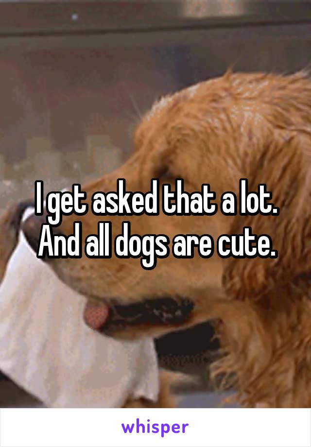 I get asked that a lot. And all dogs are cute.