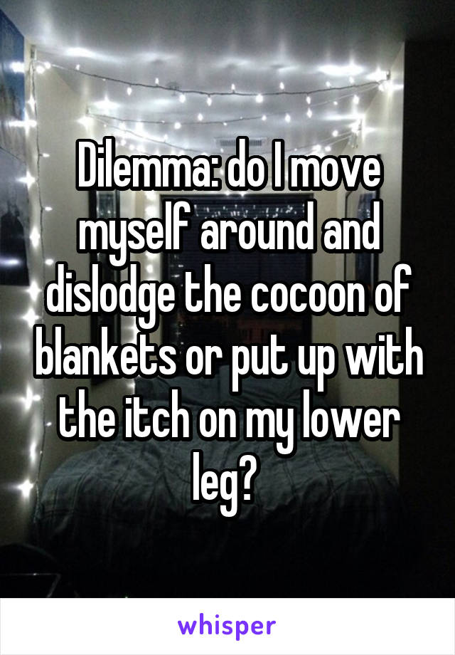 Dilemma: do I move myself around and dislodge the cocoon of blankets or put up with the itch on my lower leg? 