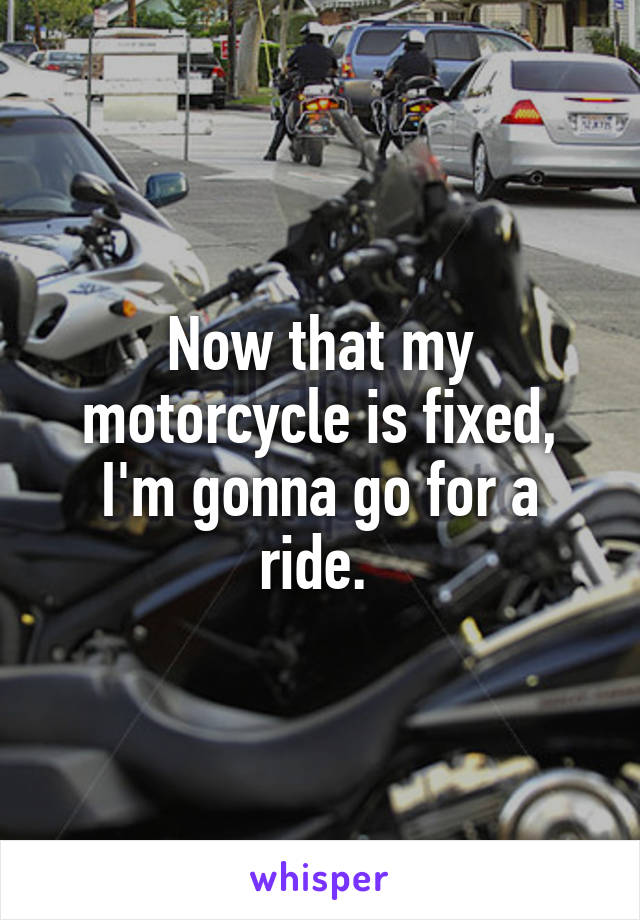 Now that my motorcycle is fixed, I'm gonna go for a ride. 