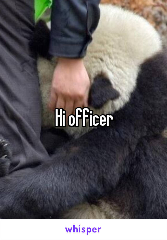 Hi officer