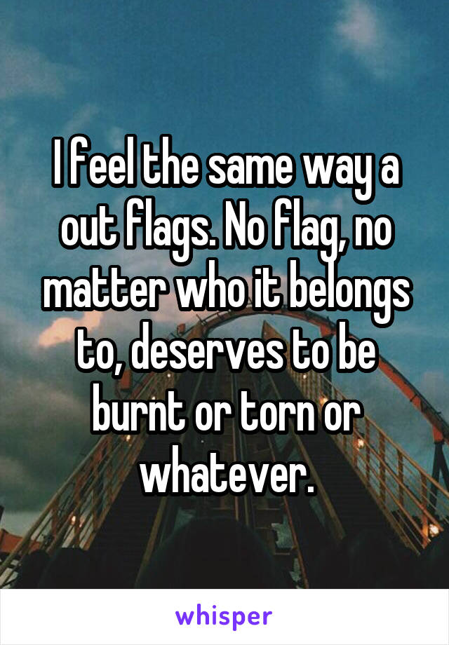 I feel the same way a out flags. No flag, no matter who it belongs to, deserves to be burnt or torn or whatever.