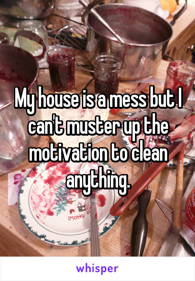 My house is a mess but I can't muster up the motivation to clean anything.