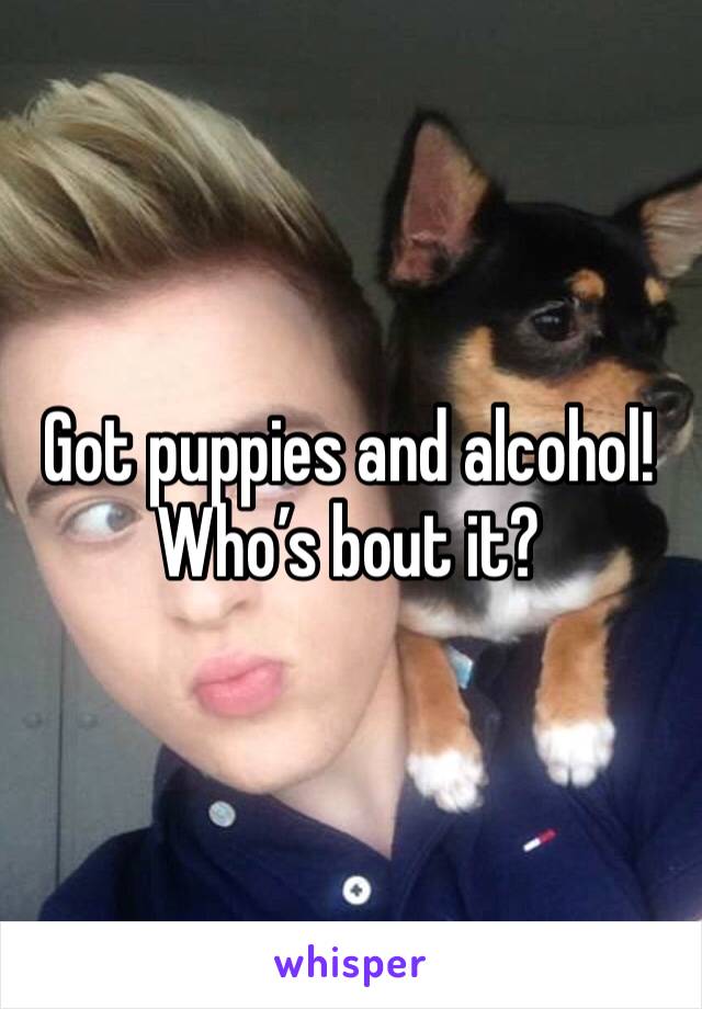 Got puppies and alcohol! Who’s bout it?