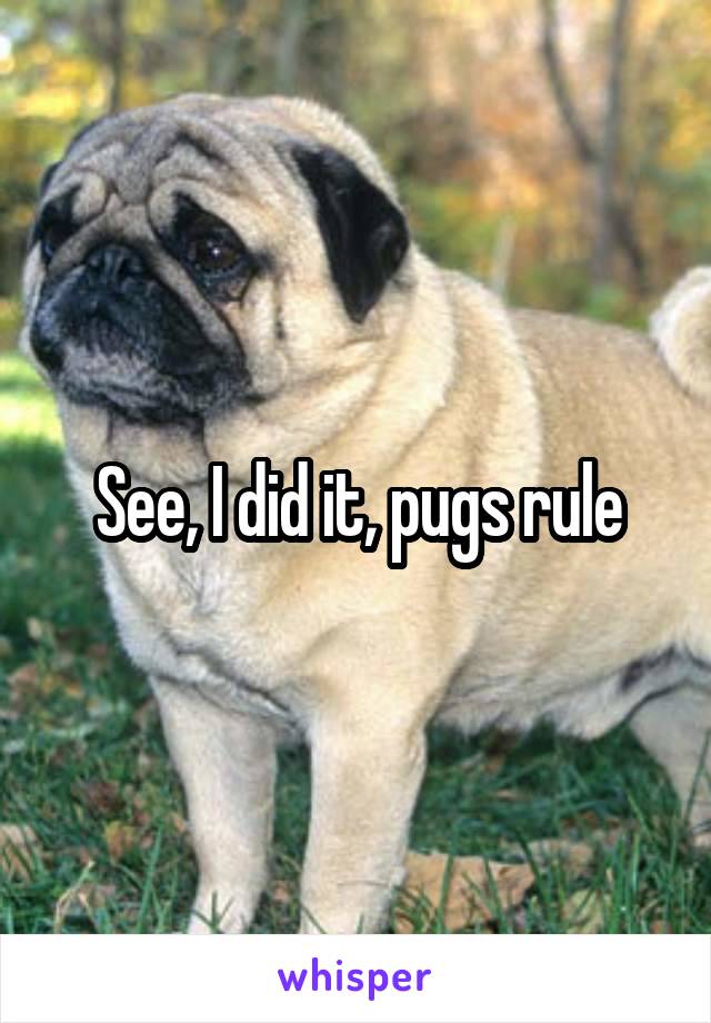 See, I did it, pugs rule