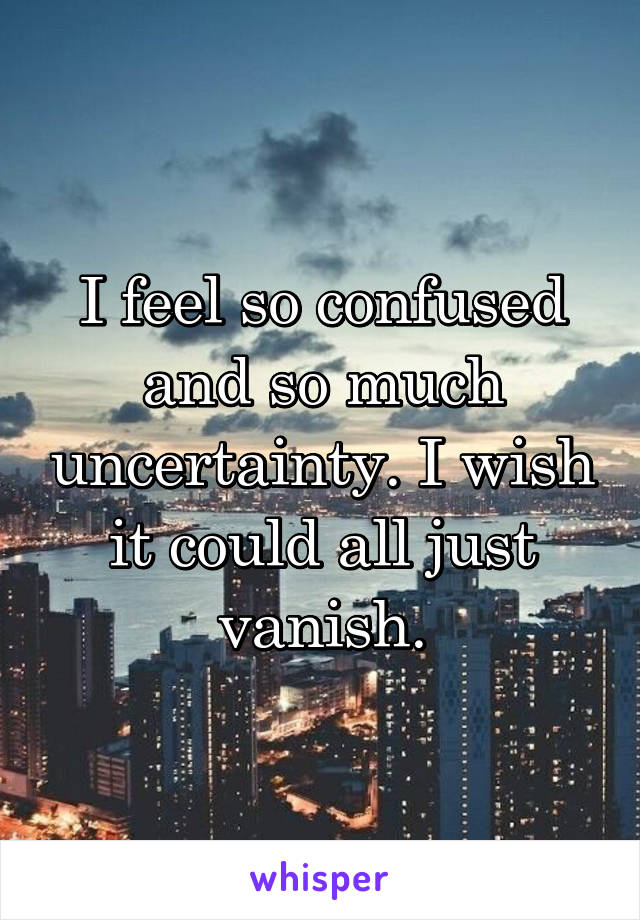 I feel so confused and so much uncertainty. I wish it could all just vanish.