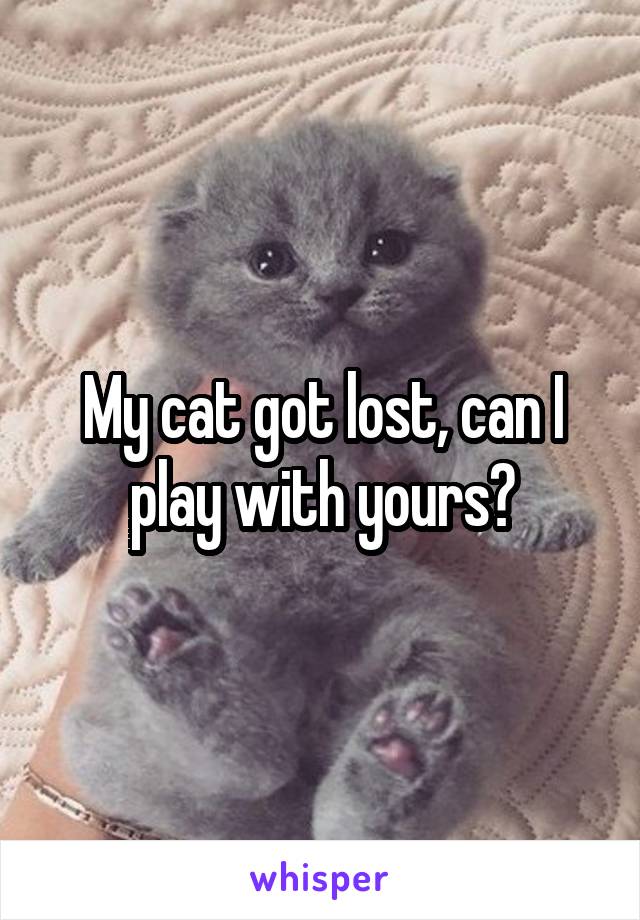 My cat got lost, can I play with yours?