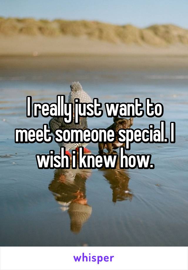 I really just want to meet someone special. I wish i knew how.