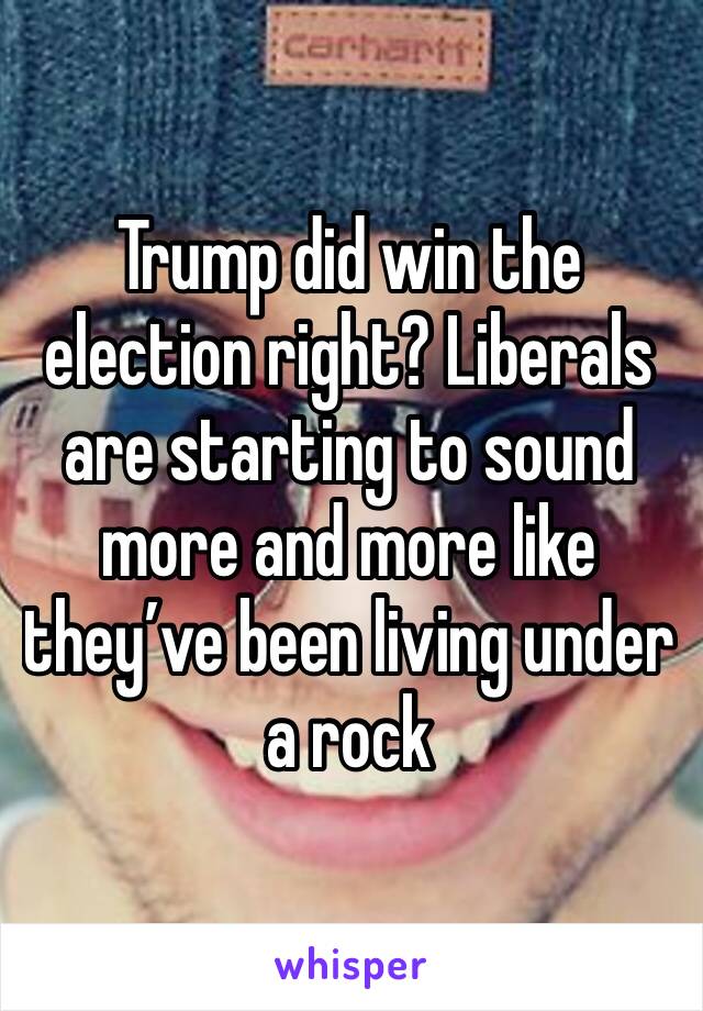Trump did win the election right? Liberals are starting to sound more and more like they’ve been living under a rock