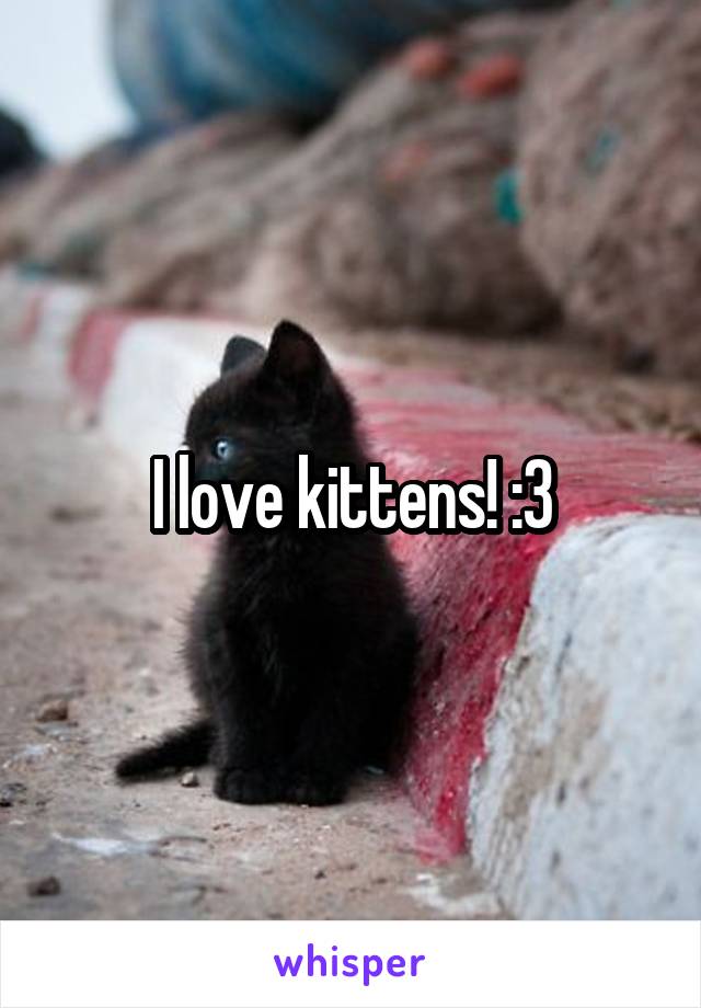 I love kittens! :3