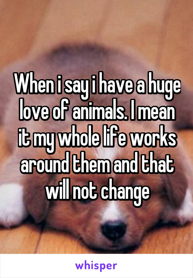 When i say i have a huge love of animals. I mean it my whole life works around them and that will not change