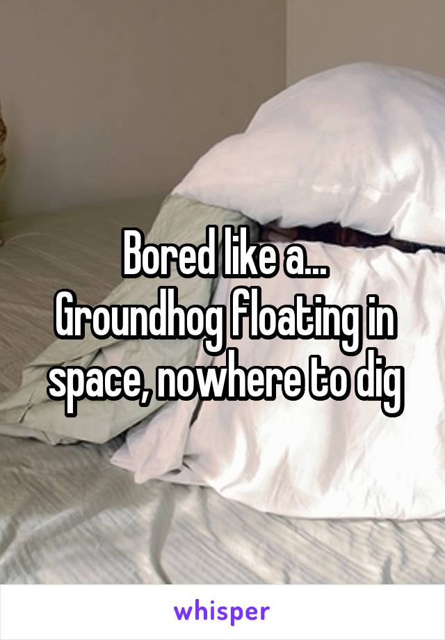 Bored like a...
Groundhog floating in space, nowhere to dig