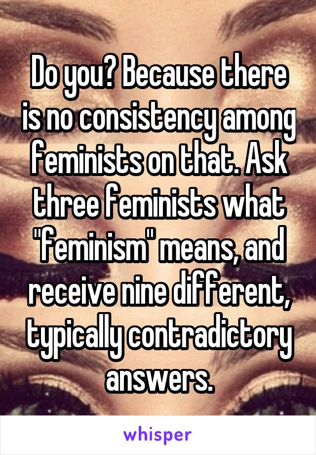 Do you? Because there is no consistency among feminists on that. Ask three feminists what "feminism" means, and receive nine different, typically contradictory answers.