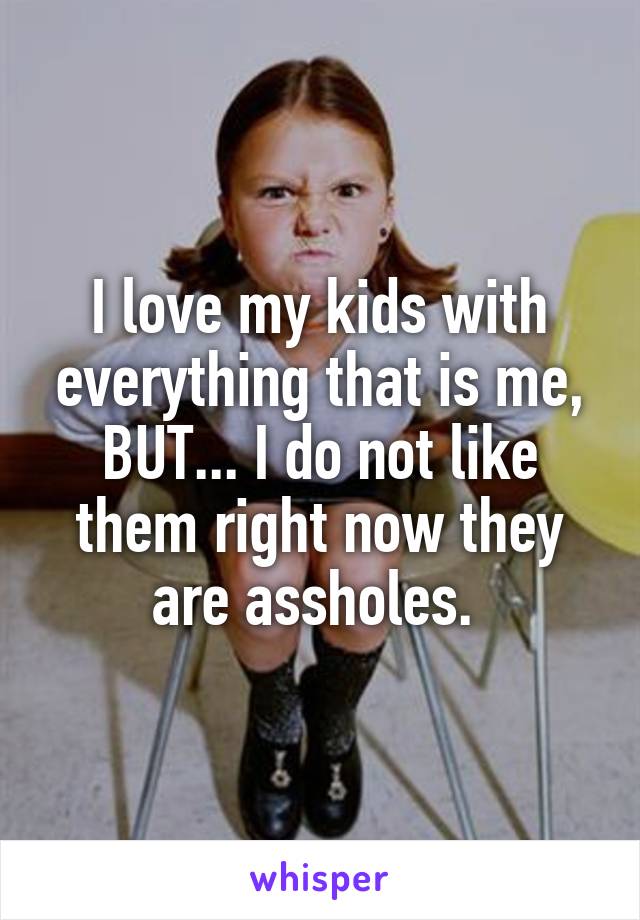 I love my kids with everything that is me, BUT... I do not like them right now they are assholes. 