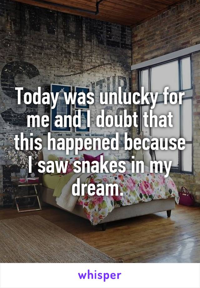 Today was unlucky for me and I doubt that this happened because I saw snakes in my dream. 