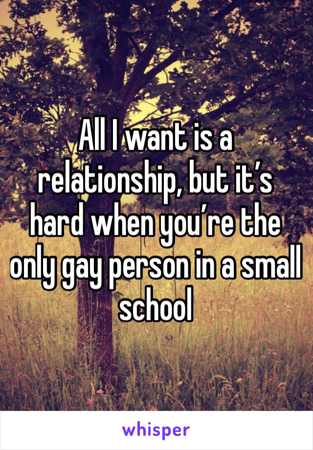 All I want is a relationship, but it’s hard when you’re the only gay person in a small school 