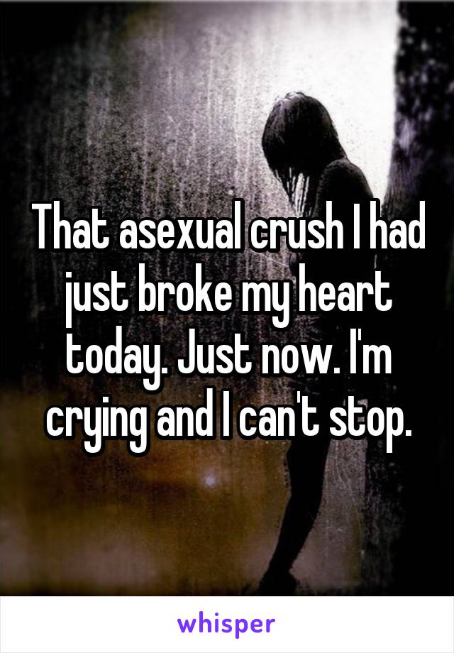 That asexual crush I had just broke my heart today. Just now. I'm crying and I can't stop.