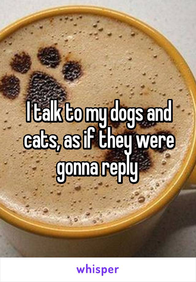 I talk to my dogs and cats, as if they were gonna reply 