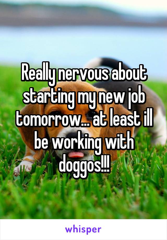 Really nervous about starting my new job tomorrow... at least ill be working with doggos!!!