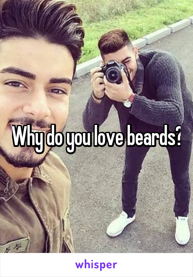 Why do you love beards?