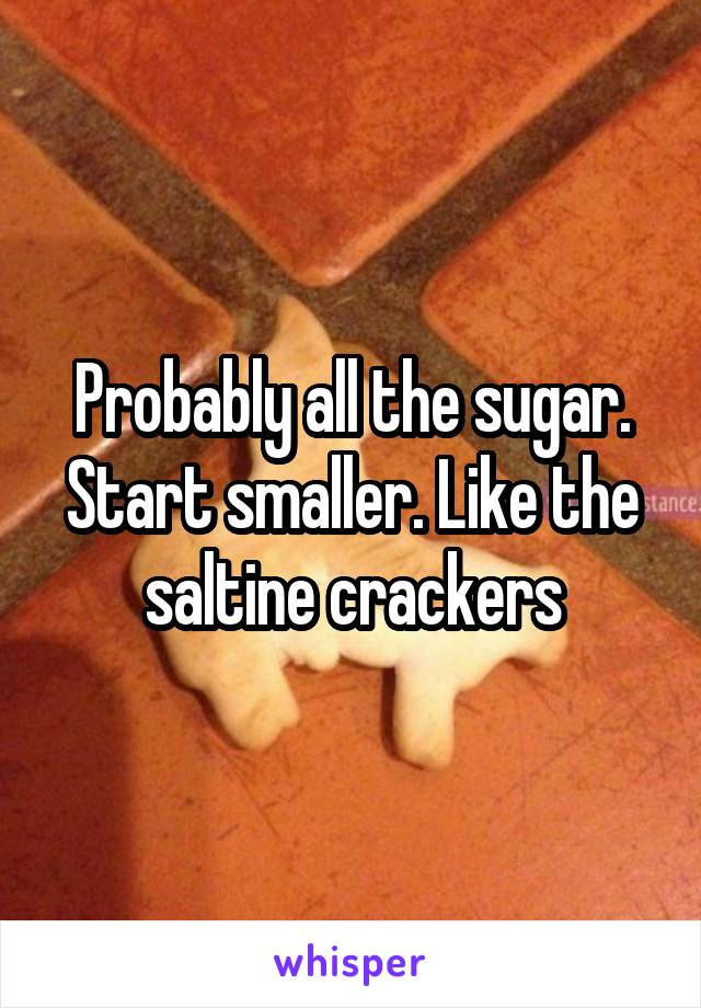 Probably all the sugar. Start smaller. Like the saltine crackers