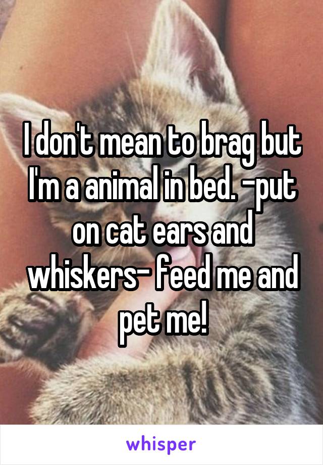 I don't mean to brag but I'm a animal in bed. -put on cat ears and whiskers- feed me and pet me!