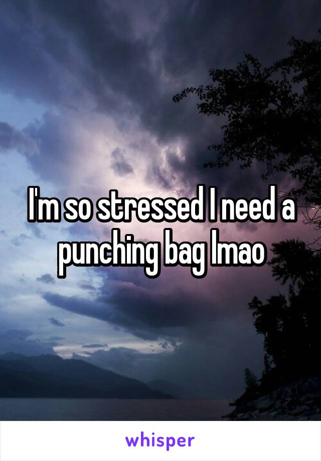 I'm so stressed I need a punching bag lmao