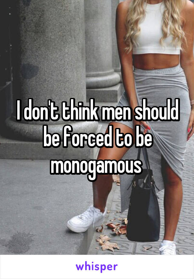 I don't think men should be forced to be monogamous 