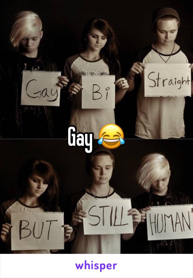 Gay 😂