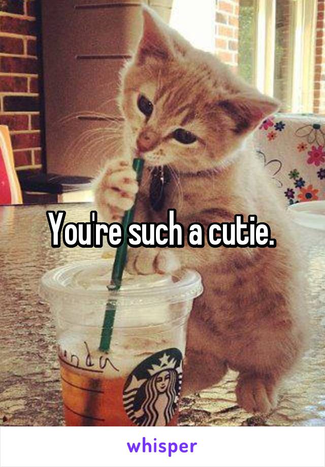 You're such a cutie. 