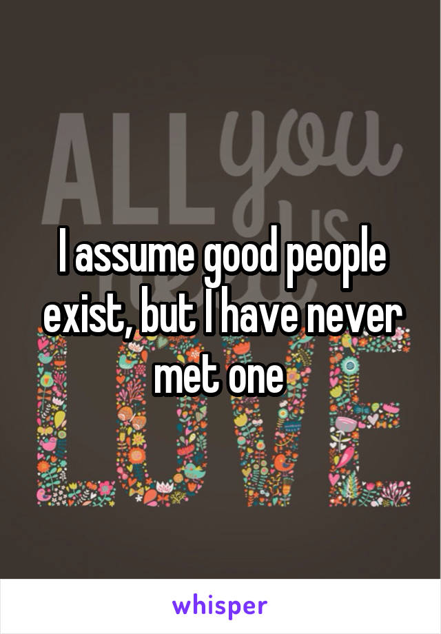 I assume good people exist, but I have never met one 
