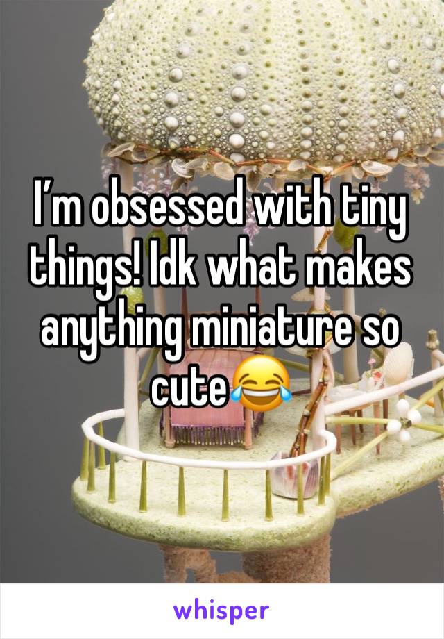 I’m obsessed with tiny things! Idk what makes anything miniature so cute😂