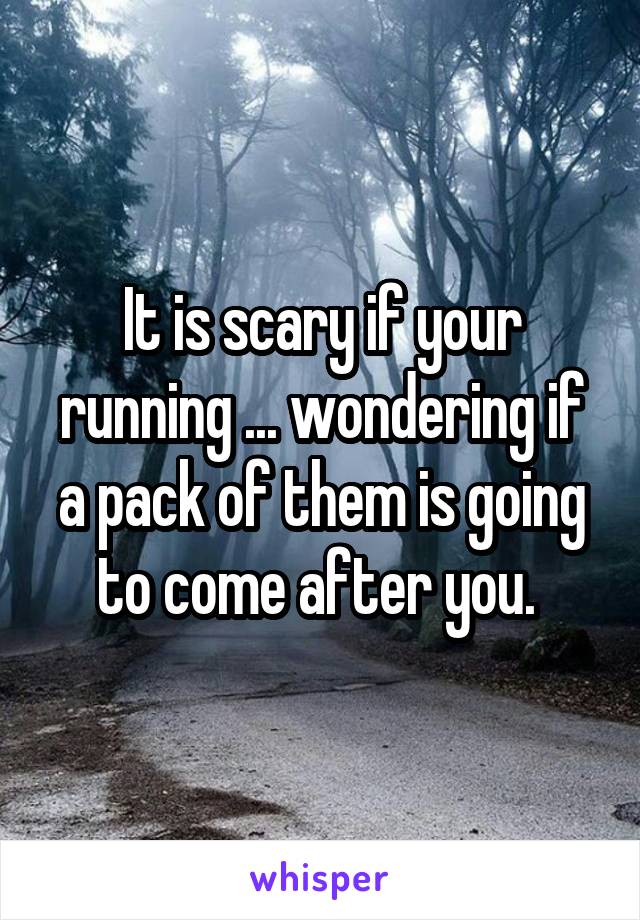 It is scary if your running ... wondering if a pack of them is going to come after you. 