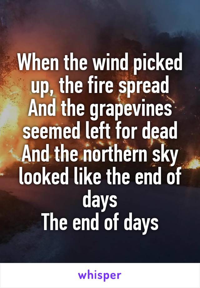 When the wind picked up, the fire spread
And the grapevines seemed left for dead
And the northern sky looked like the end of days
The end of days