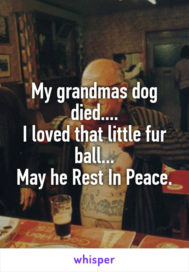 My grandmas dog died....
I loved that little fur ball...
May he Rest In Peace.